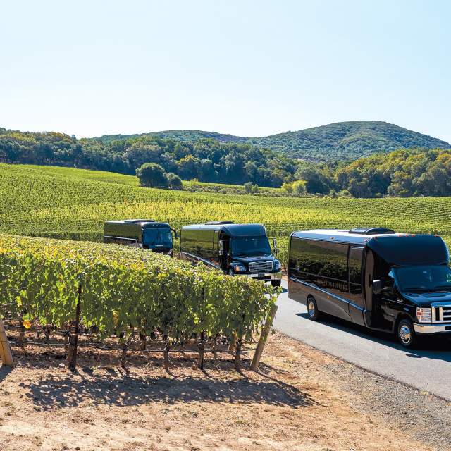 Affordable Limo Service