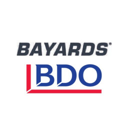 Bayards via BDO Executive Search & Interim