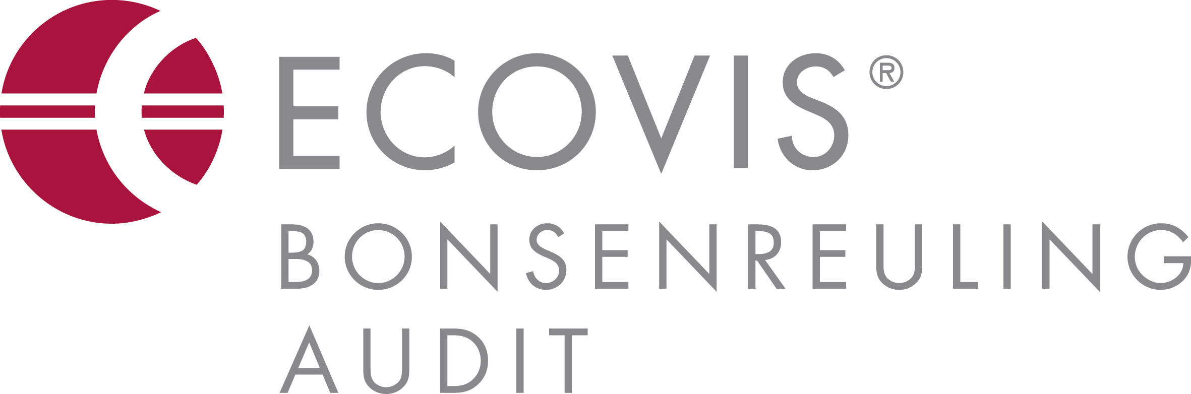 ECOVIS BonsenReuling Audit B.V.