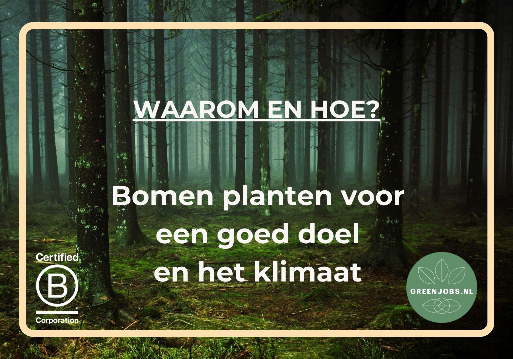 Bomen planten voor een goed doel en het klimaat - Waarom en hoe?