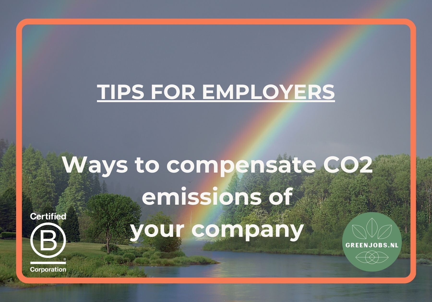 Ways to compensate CO2 emissions of your company