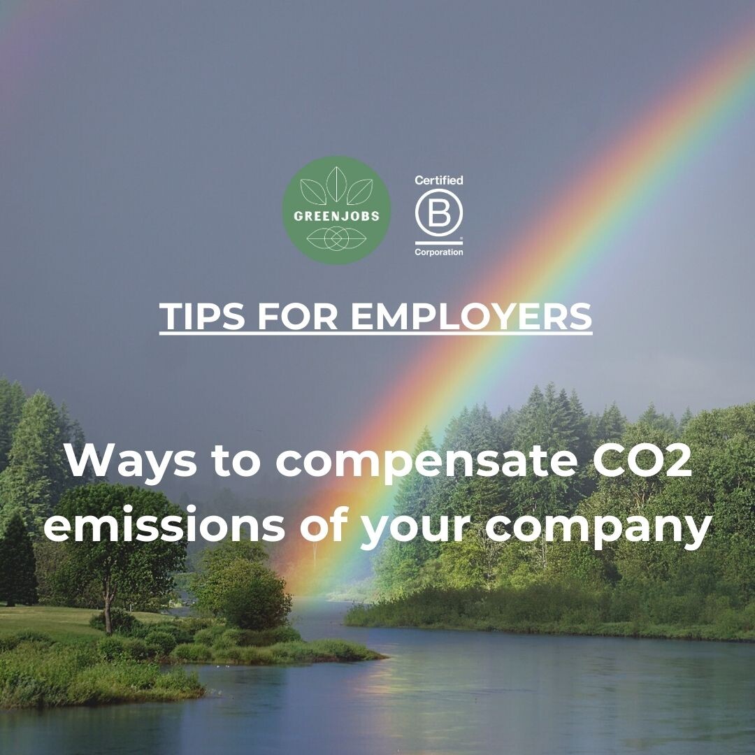 Ways to compensate CO2 emissions of your company
