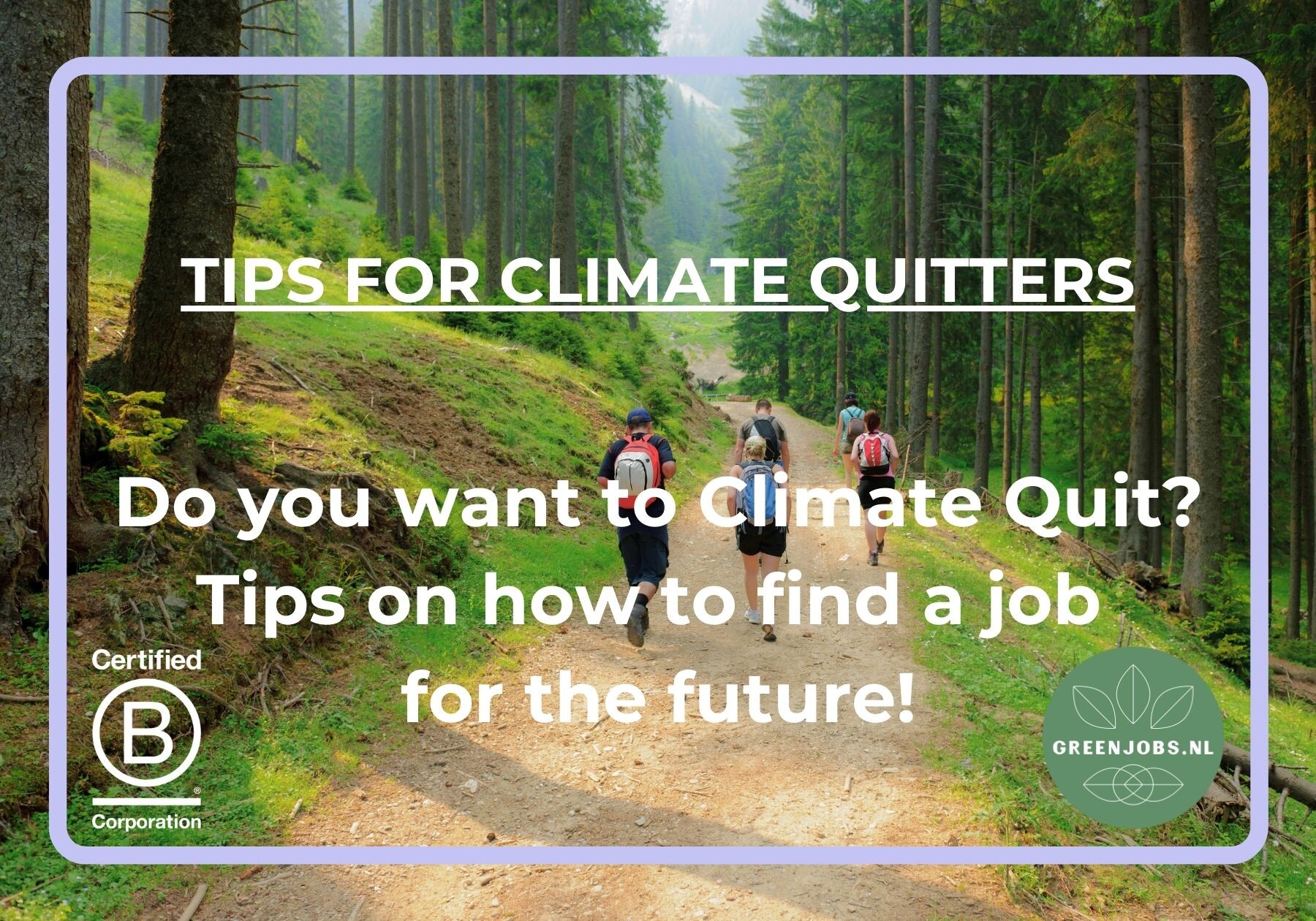 Do you want to Climate Quit? Here's how to find a job for the future!