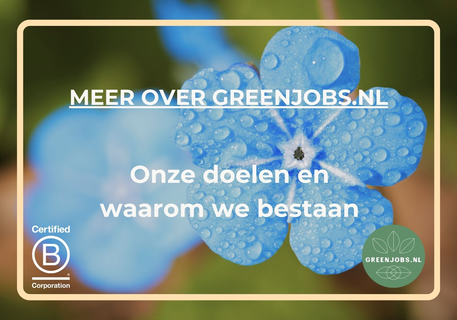 Greenjobs.nl, de doelen en waarom we bestaan