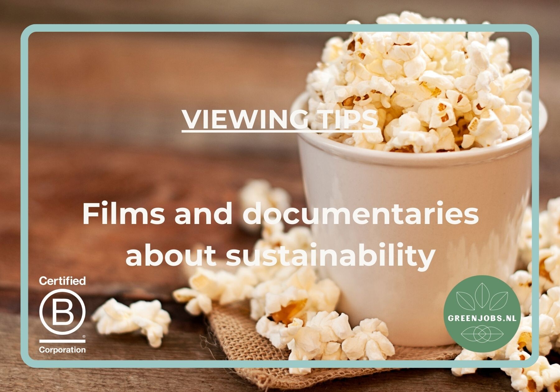 Viewing Tips:  Movies and documentaries about sustainability and the future of the planet