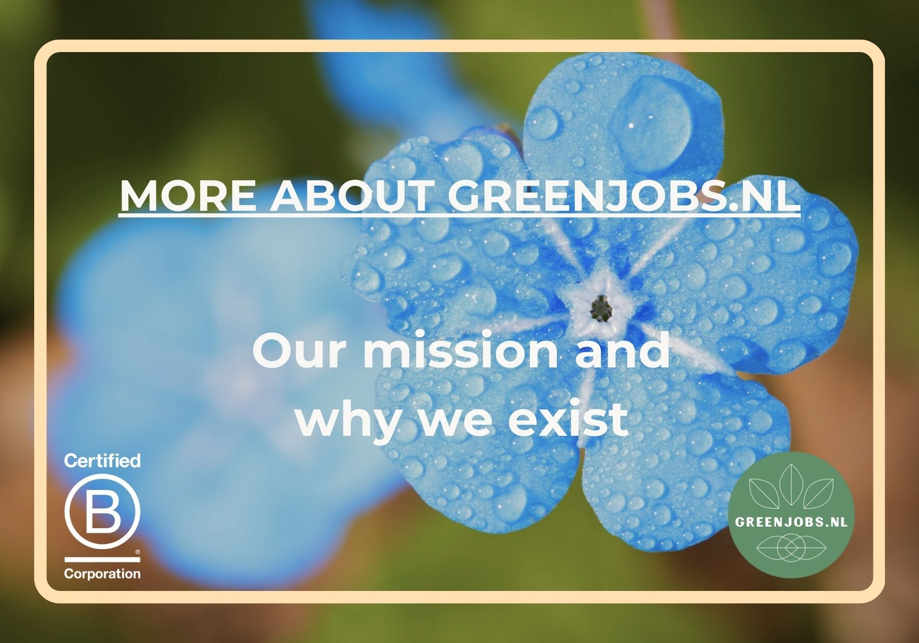 Greenjobs.nl: About our mission and why we exist