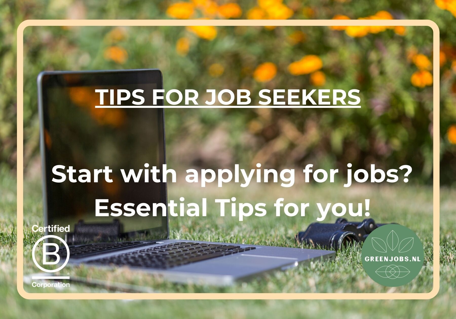 Applying for jobs: Essential job application tips for success