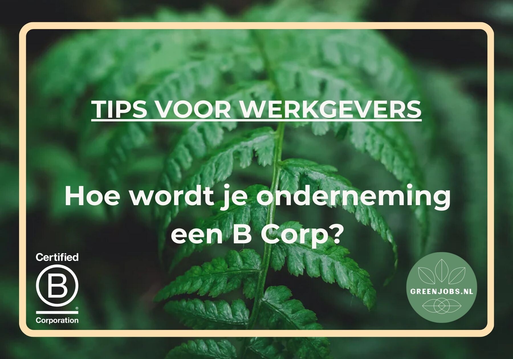 Hoe wordt je onderneming een B Corp?