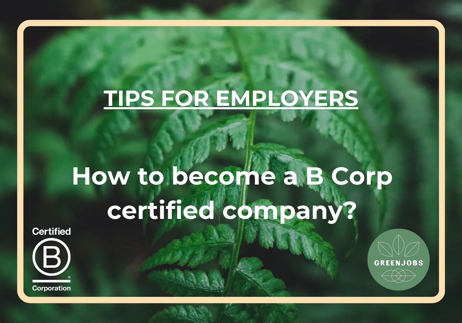 How to become a B Corp certified company?