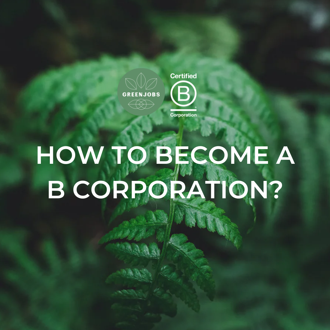 How to become a B Corp certified company?