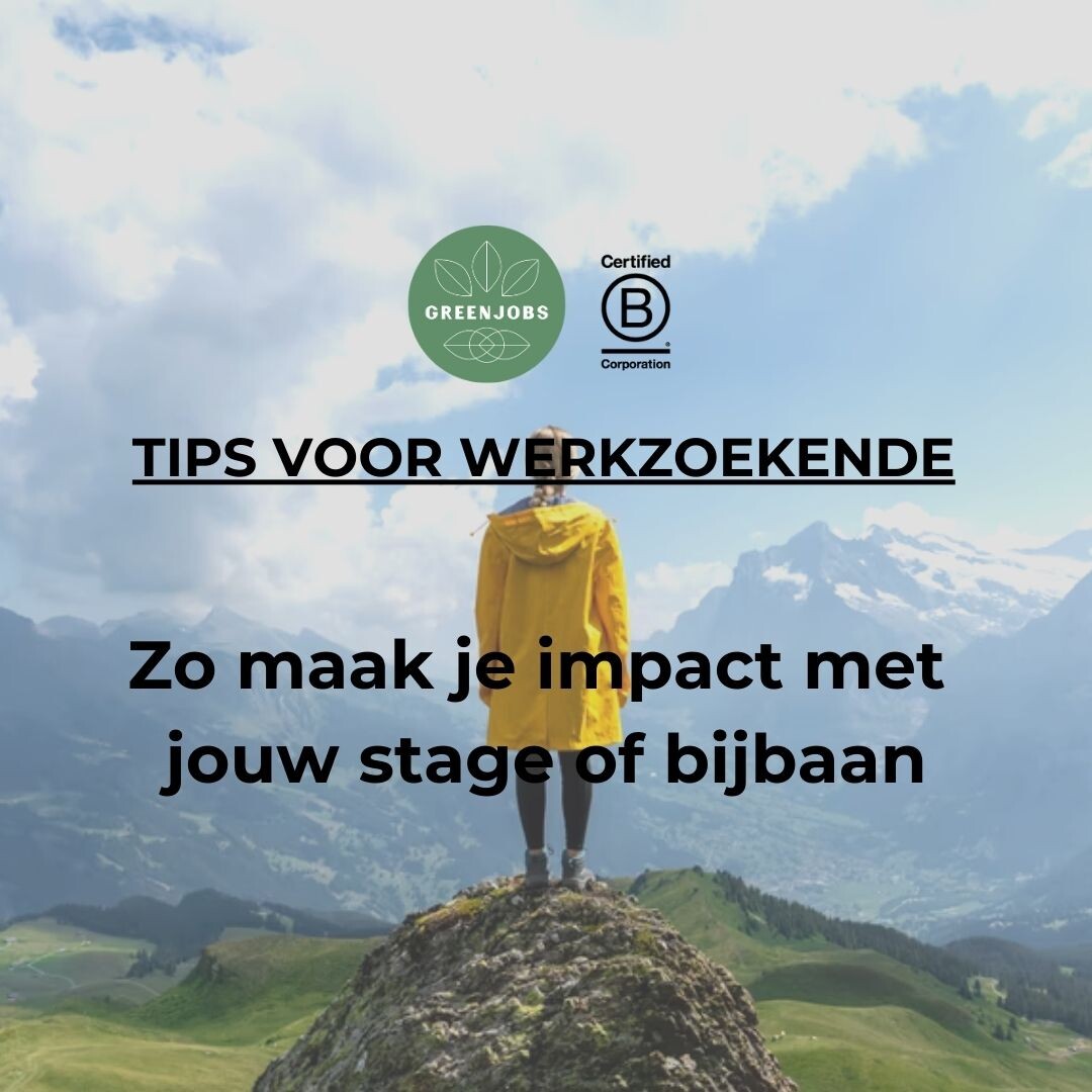 Zo maak je impact met jouw stage of bijbaan - stagiaires vertellen hun verhaal