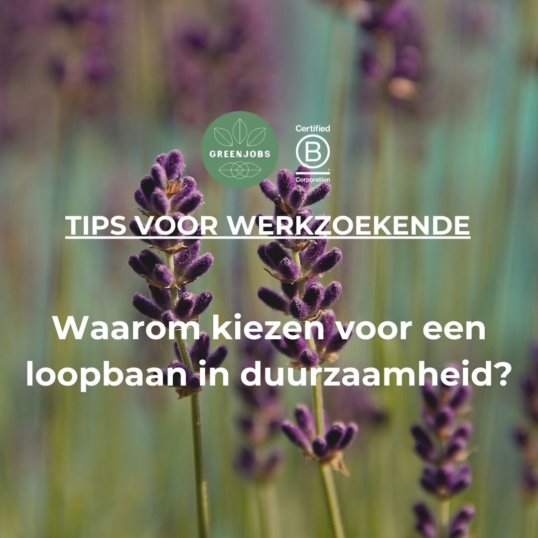 Waarom kiezen voor een loopbaan in duurzaamheid?