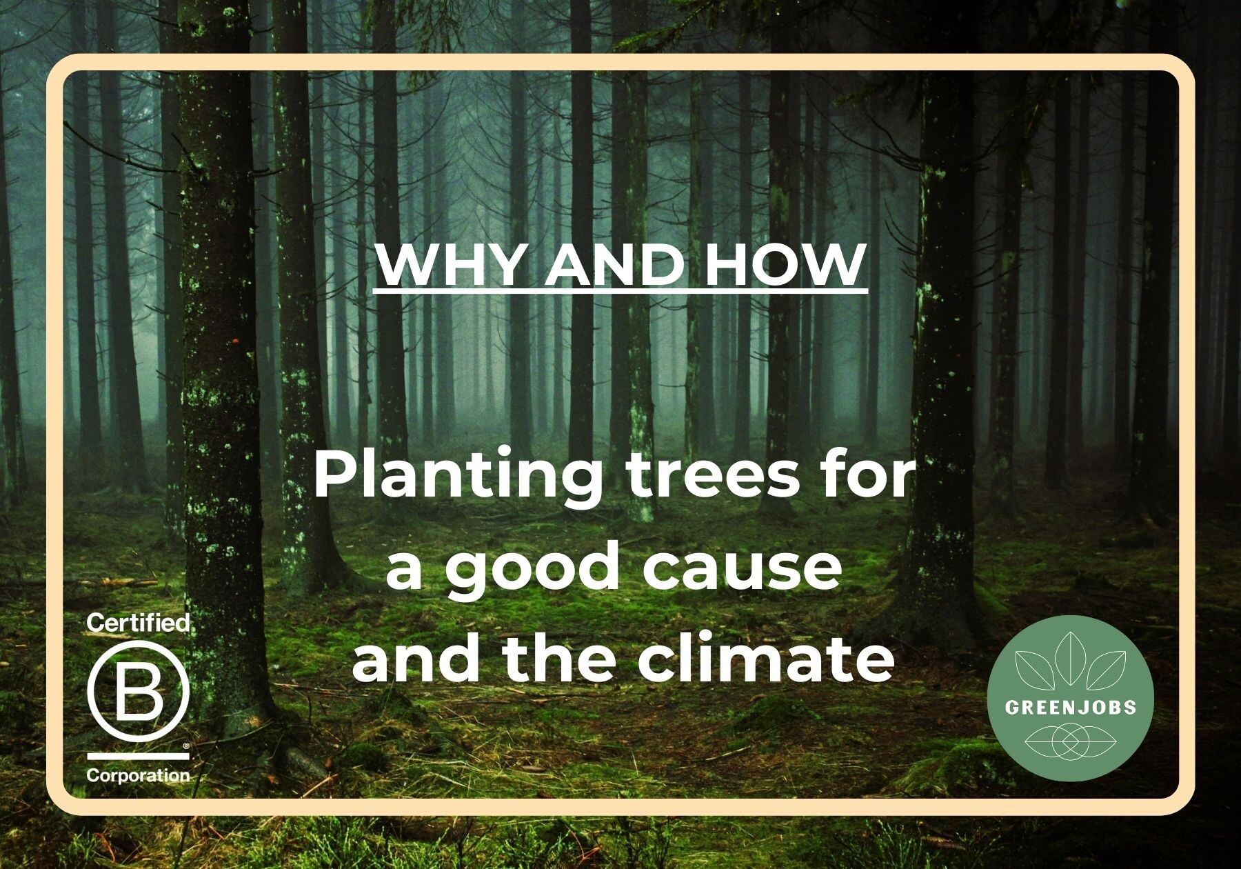 Planting Trees for a good cause and the climate
