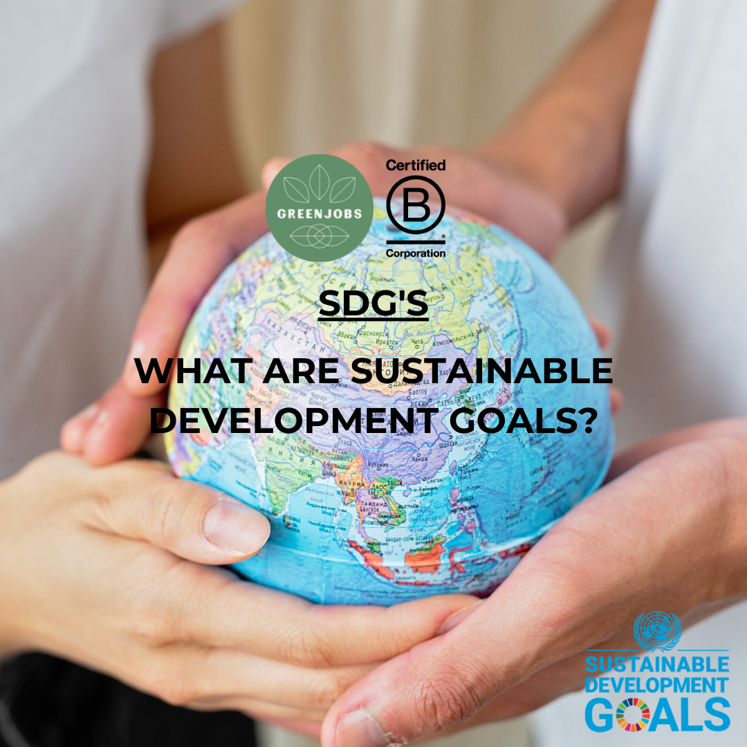 17 Sustainable Development Goals (SDGs): What are these 17 sustainable development goals?