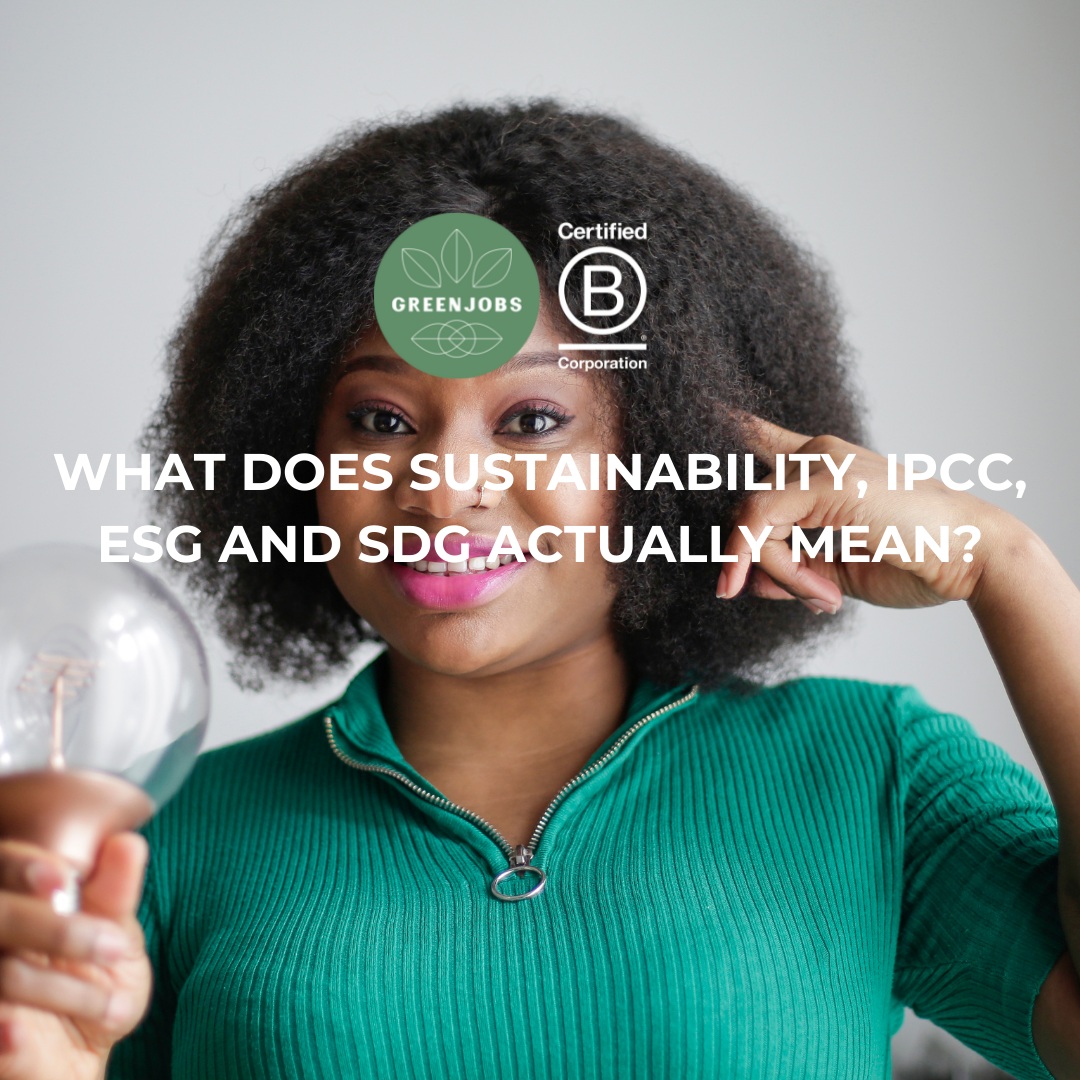 What does sustainability, IPCC, ESG and SDG actually mean?