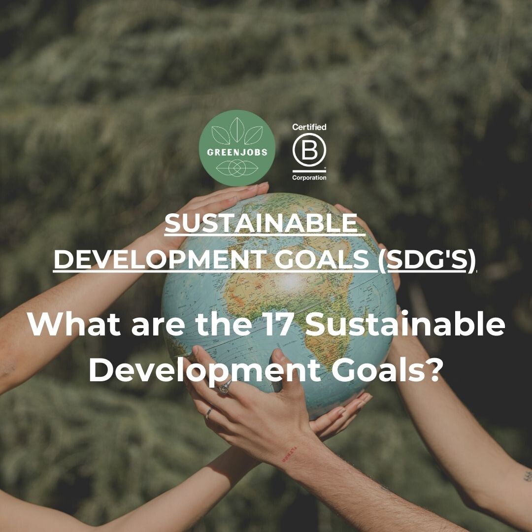 What are the 17 Sustainable Development Goals?