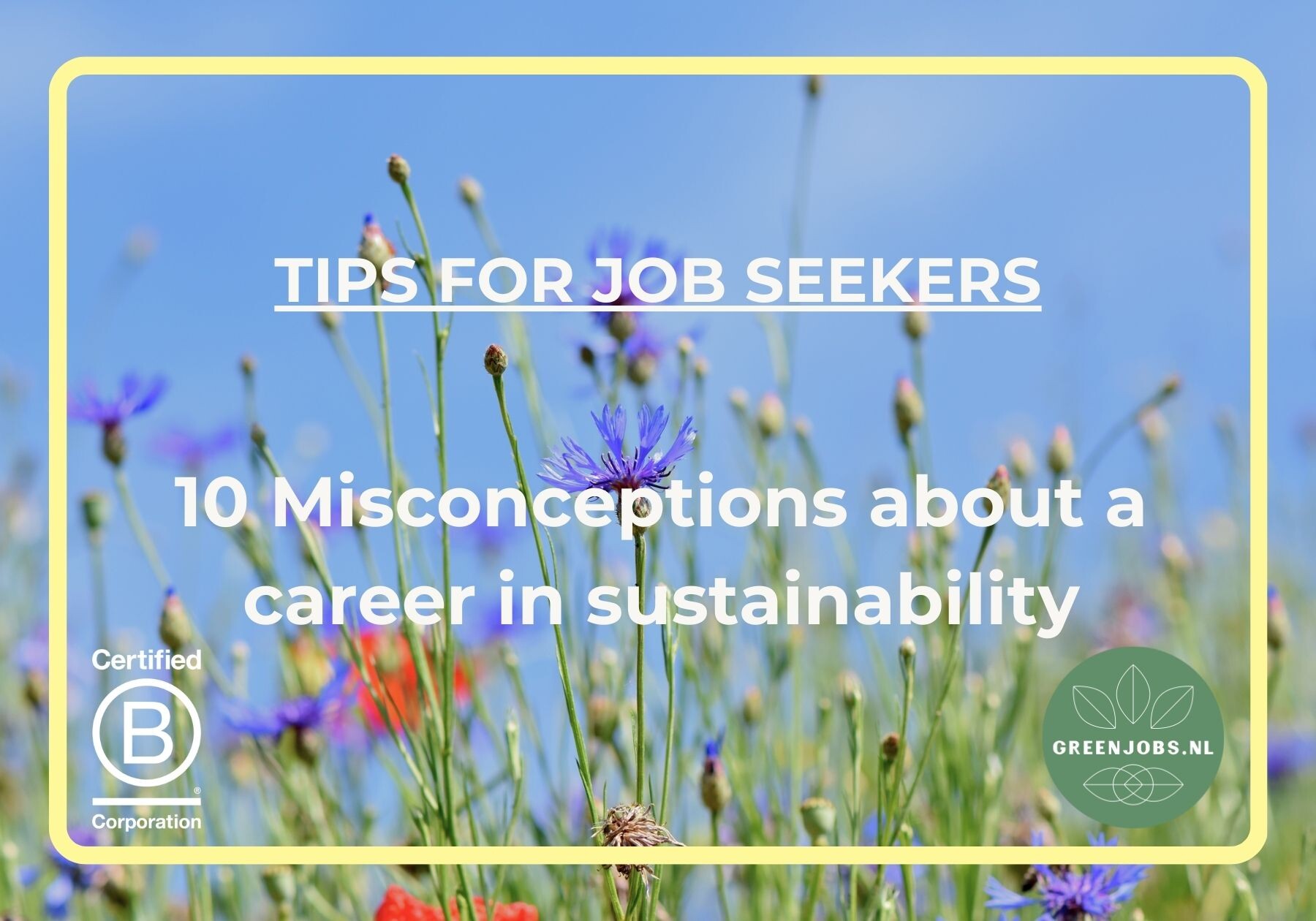 10 Misconceptions about a career in sustainability