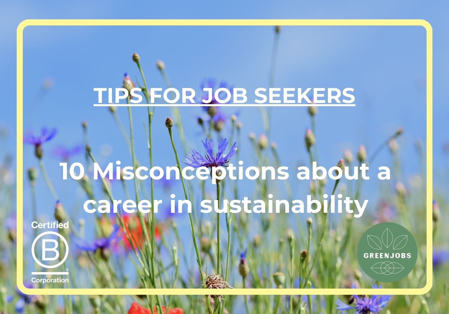 10 Misconceptions about a career in sustainability