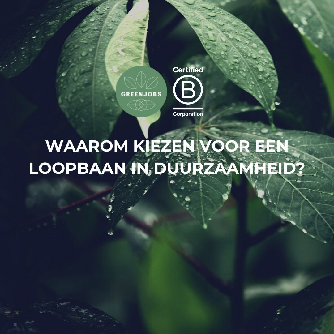 Greenjobs Blogs Duurzaam Nieuws And Tips Voor Een Duurzame Loopbaan