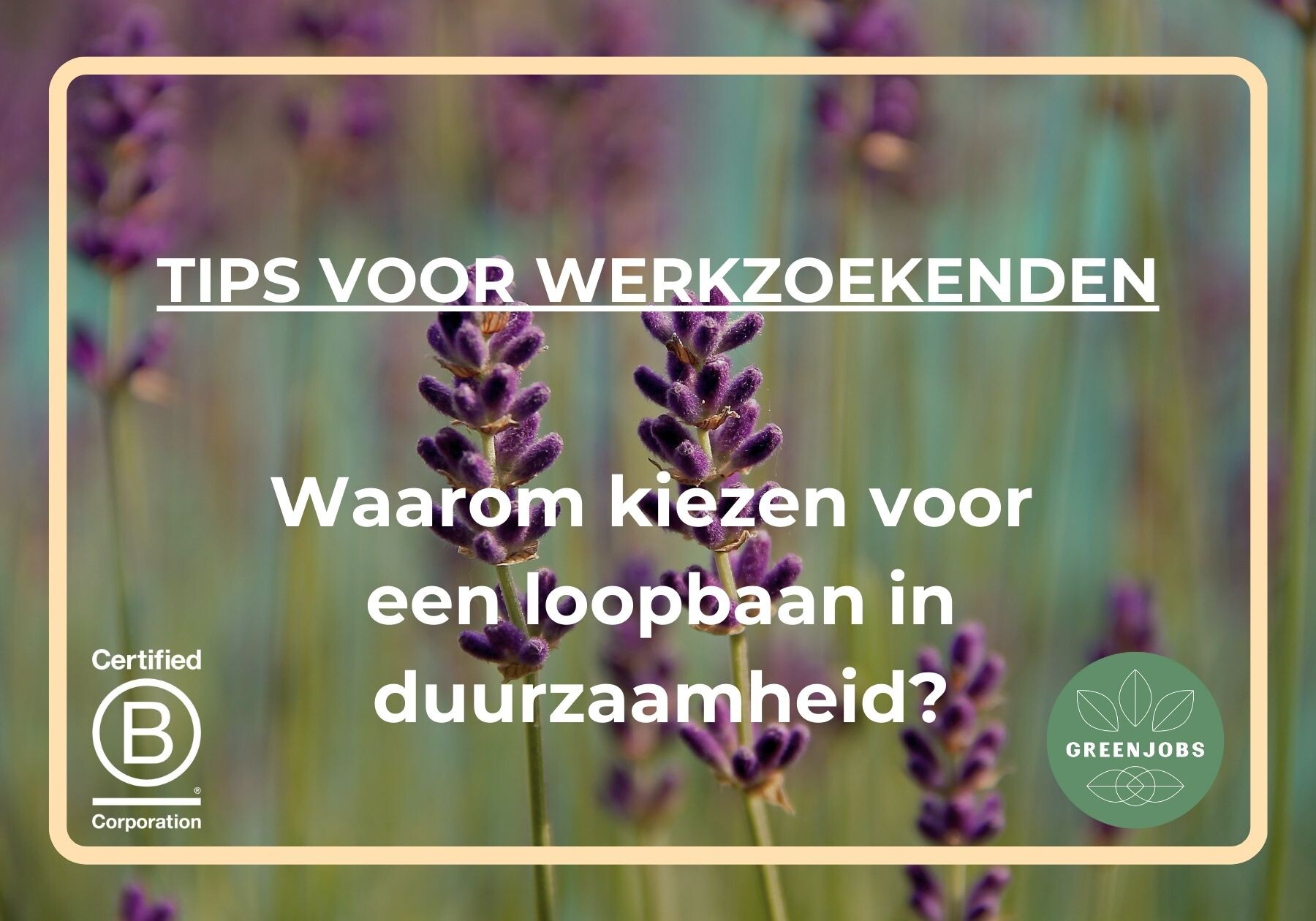 Waarom kiezen voor een loopbaan in duurzaamheid?