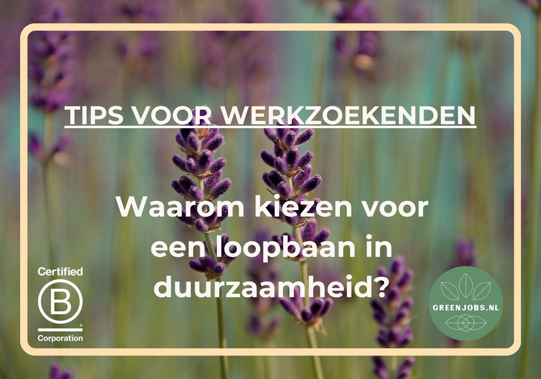 Waarom kiezen voor een loopbaan in duurzaamheid?