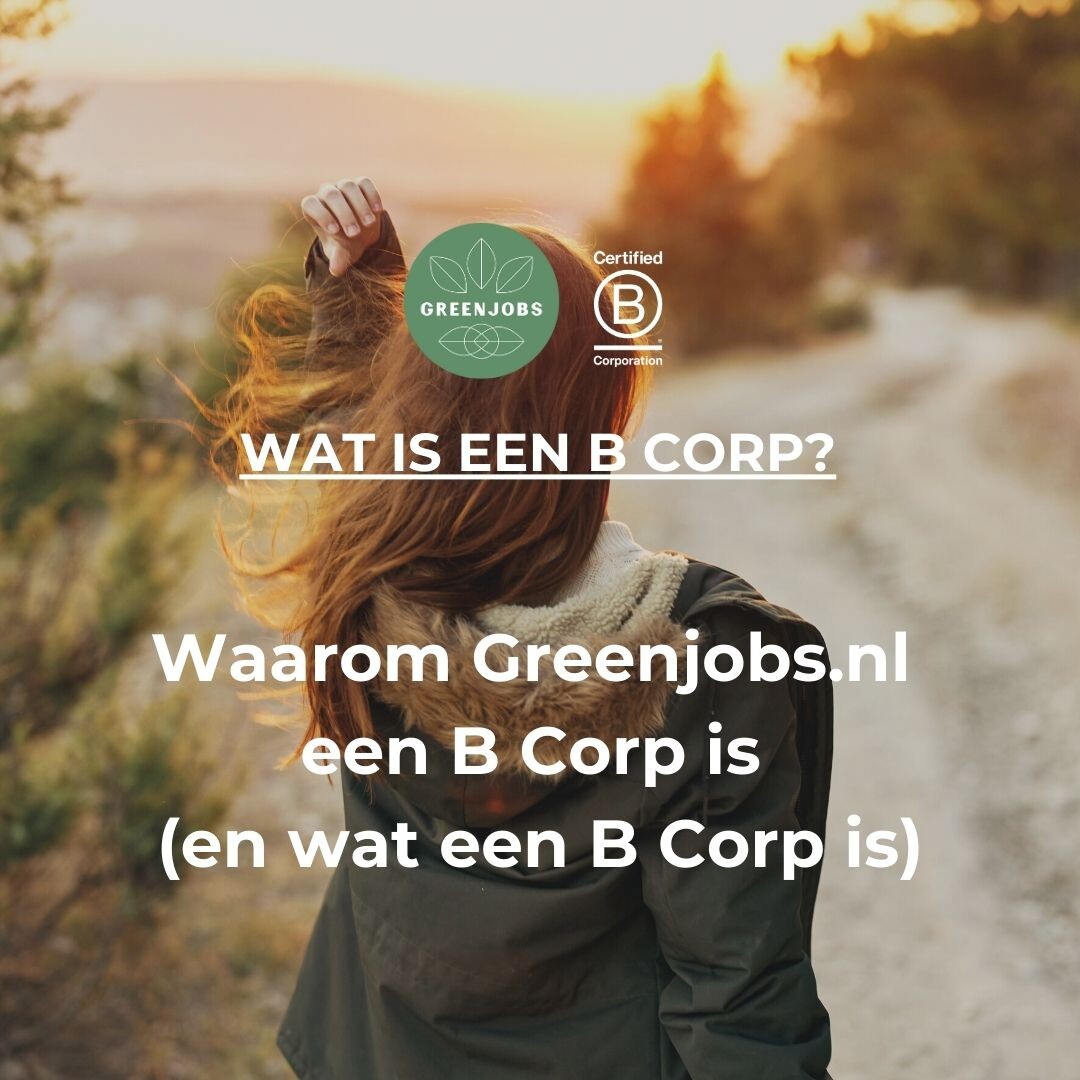 Waarom Greenjobs.nl een B Corp is (en wat een B Corp eigenlijk is)