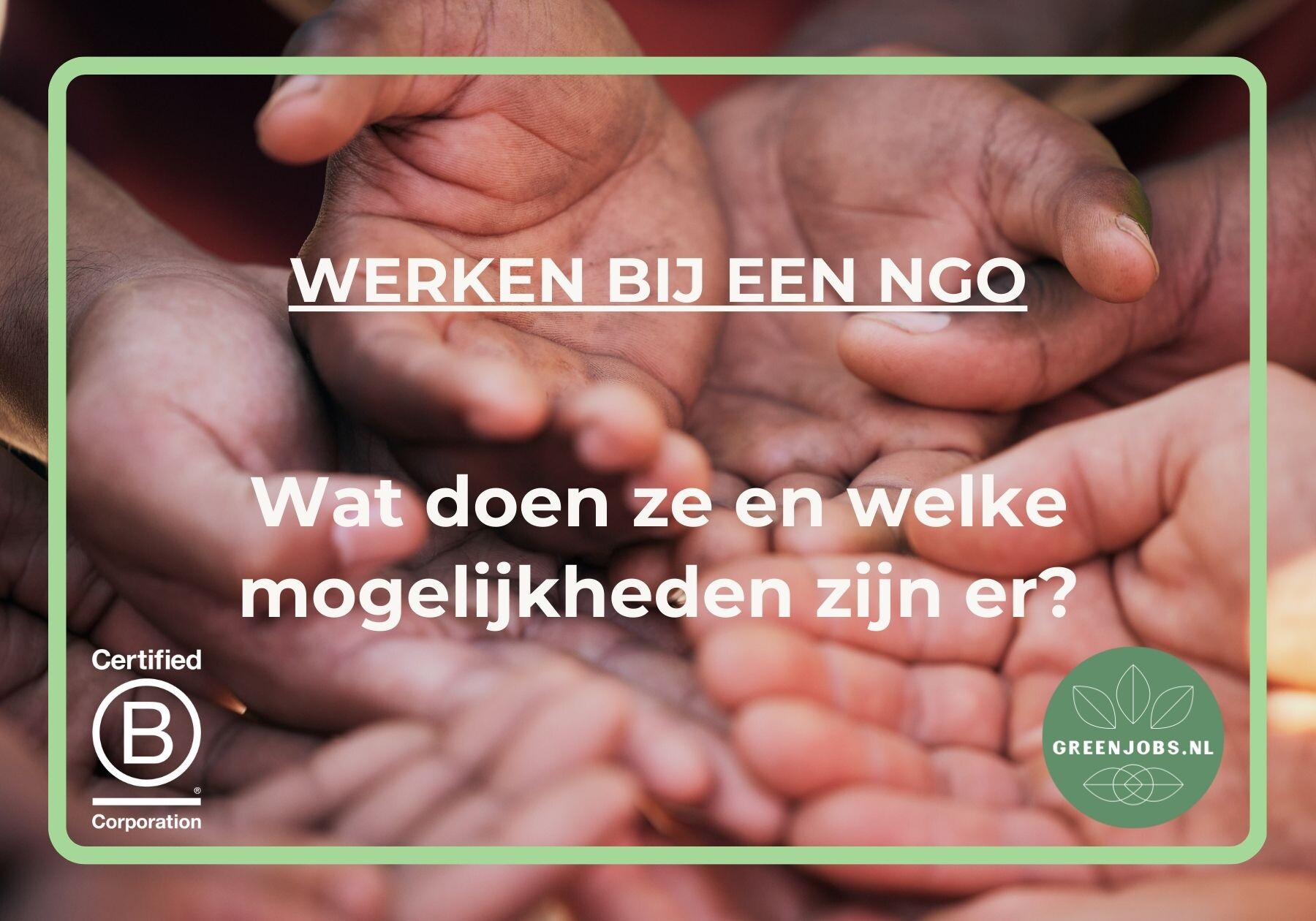 Werken bij een NGO: Wat houdt het in?