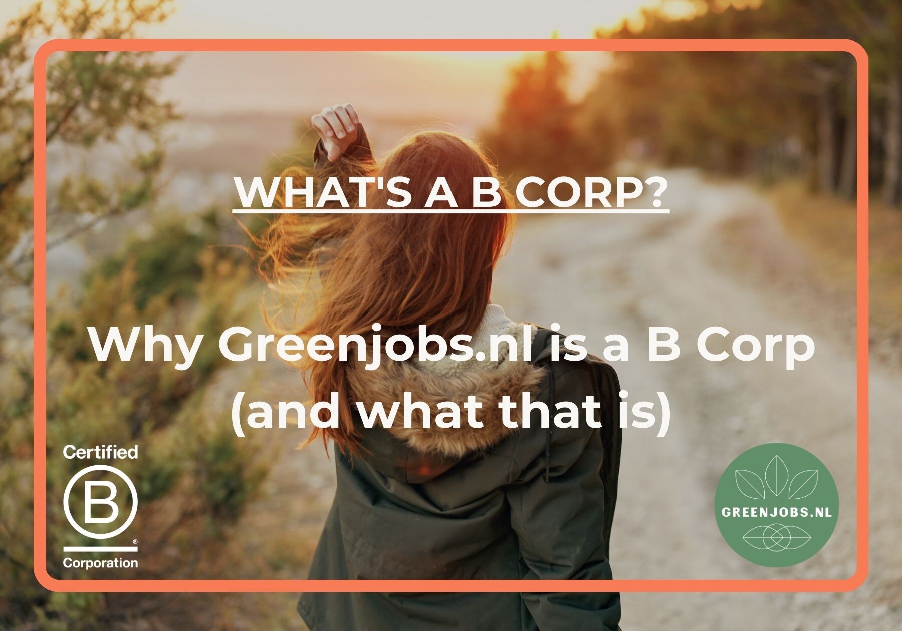 Why Greenjobs.nl a B Corp is (and what a B Corp means)