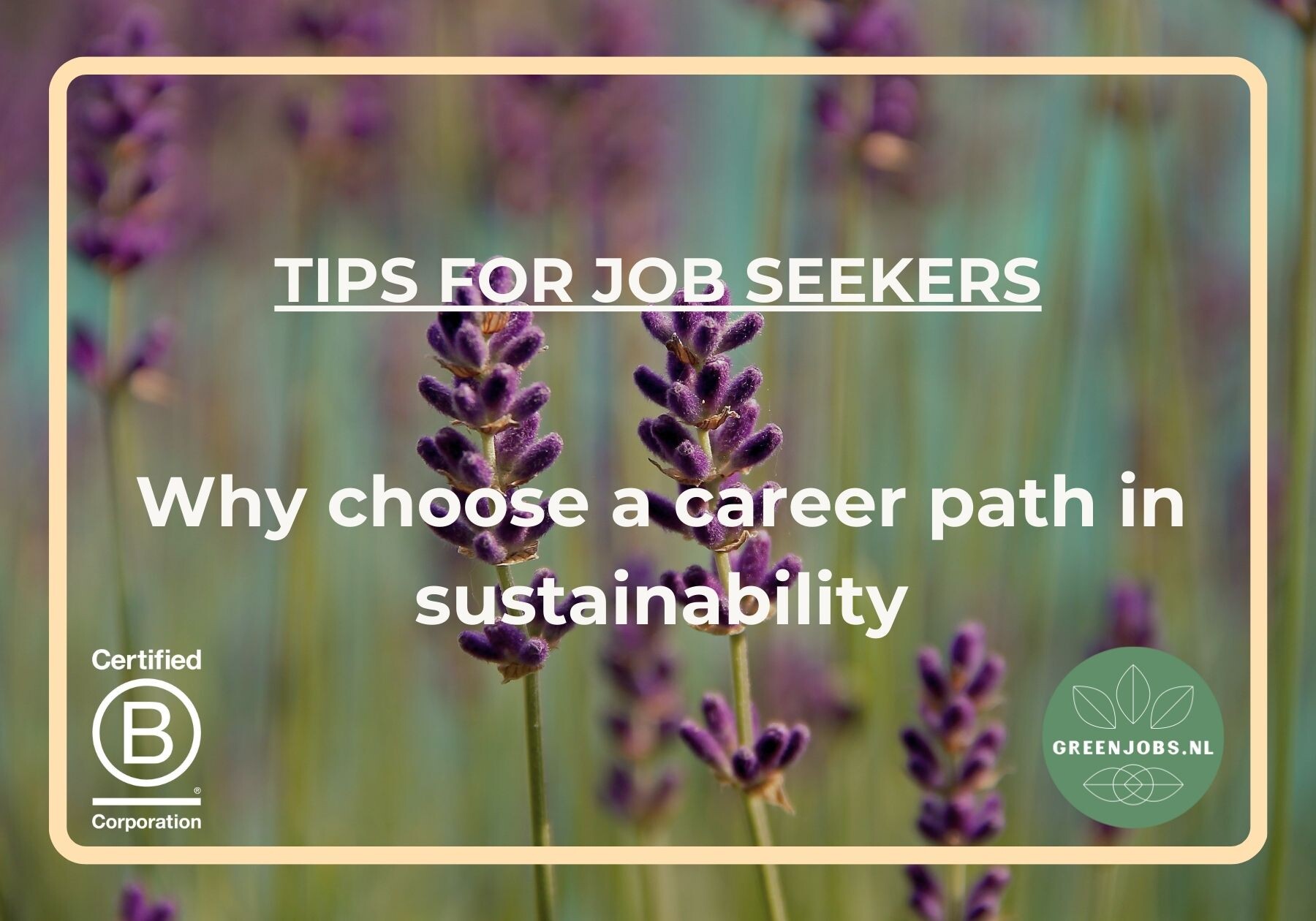 Why choose a career path in sustainability?