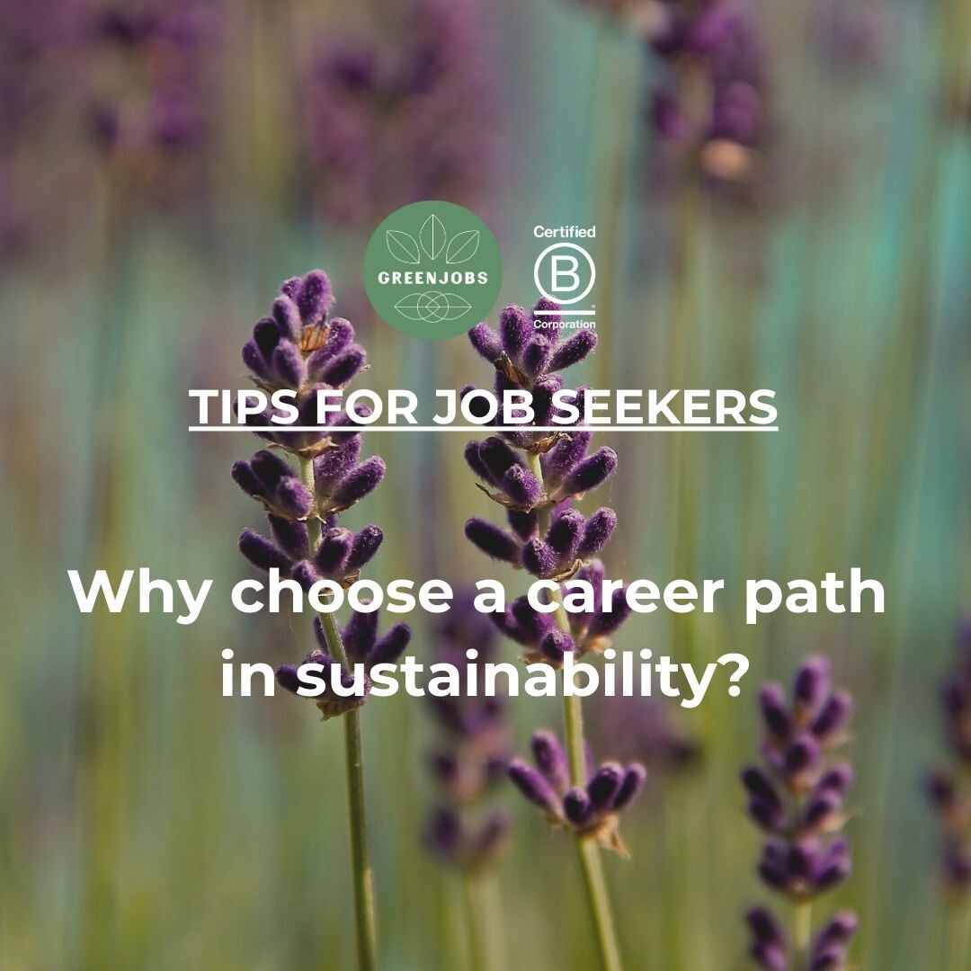 Why choose a career path in sustainability?