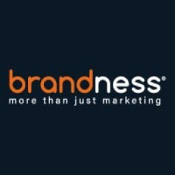 Brandness B.V.