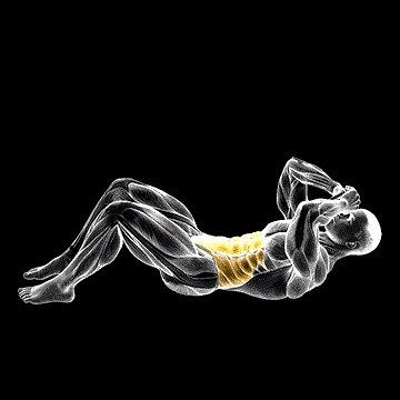 3/4 Sit-up demonstration