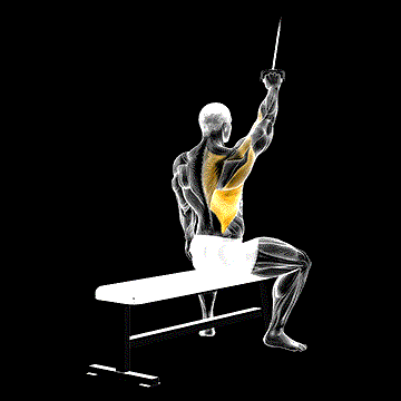 Alternate Lateral Pulldown demonstration