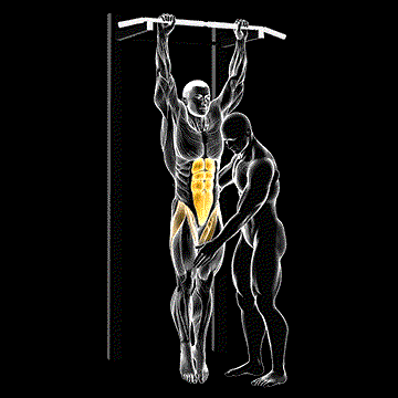 Assisted Hanging Knee Raise demonstration