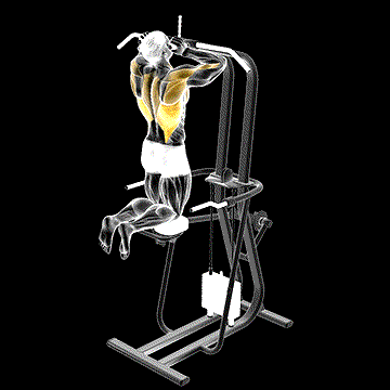 Assisted Parallel Close-Grip Pull-up demonstration
