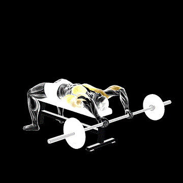 Barbell Pullover To Press demonstration
