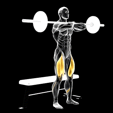 Barbell Front Squat demonstration