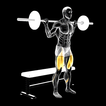 Barbell Bench Squat demonstration