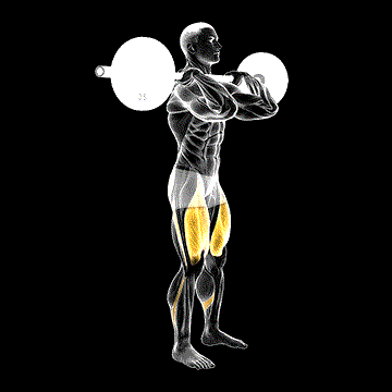 Barbell Clean-Grip Front Squat demonstration