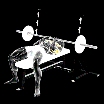 Barbell Close-Grip Bench Press demonstration