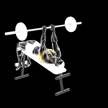 Barbell Decline Bent-Arm Pullover demonstration