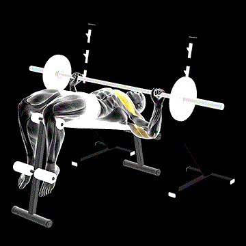 Barbell Decline Wide-Grip Press demonstration