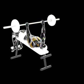 Barbell Decline Wide-Grip Pullover demonstration