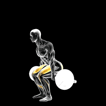 Barbell Hack Squat demonstration