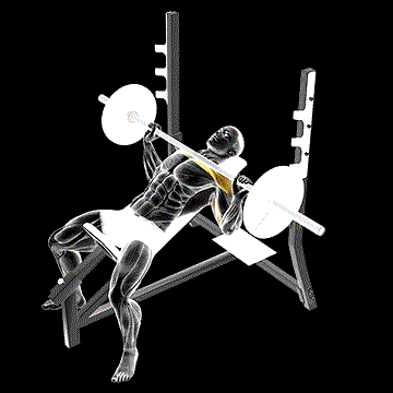 Barbell Incline Bench Press demonstration