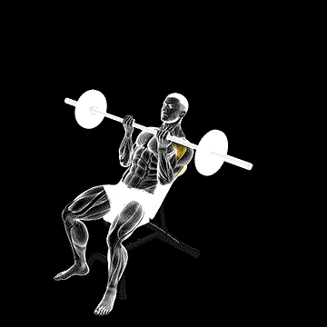Barbell Incline Reverse-grip Press demonstration