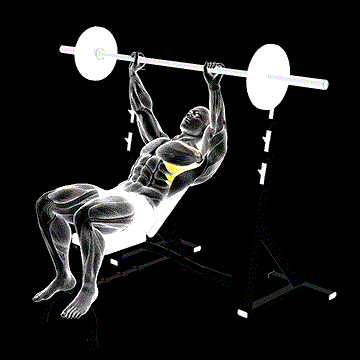 Barbell Incline Shoulder Raise demonstration