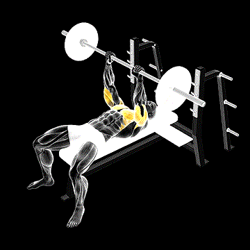 Barbell JM Bench Press demonstration