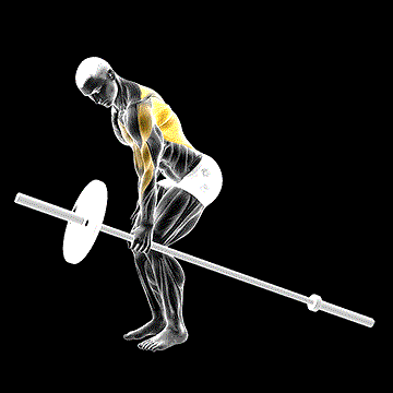 Barbell One-Arm Bent-over Row demonstration