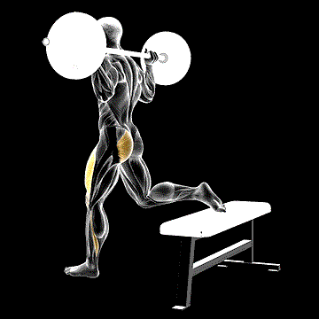 Barbell One-Leg Squat demonstration